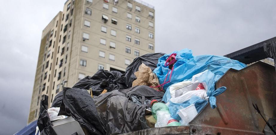 Formaggi diossina Roma