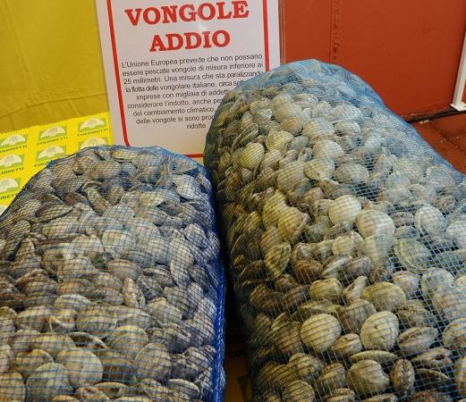vongole italiane