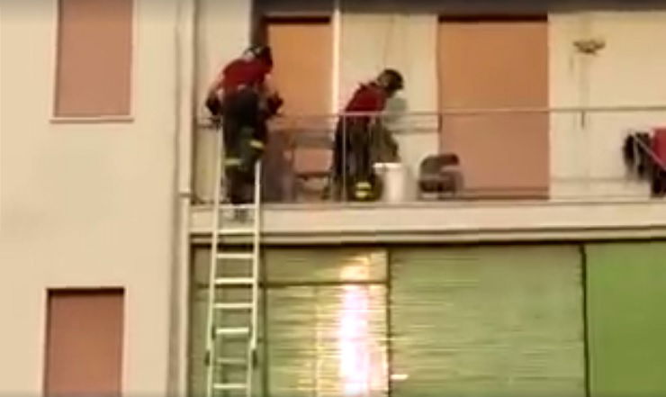 Cucciolo lasciato sul balcone