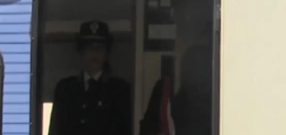 virginia raggi boschi