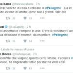 Federica Pellegrini polemica