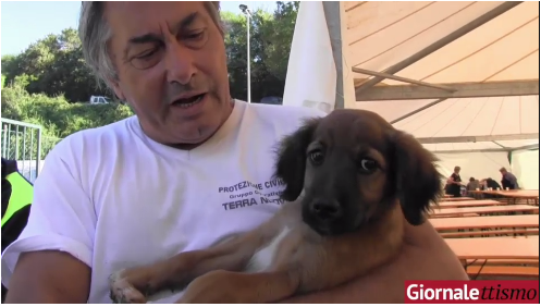 Cani tendopoli