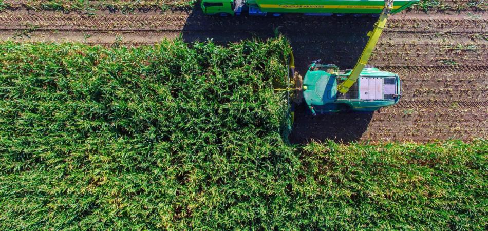 cos'è l'agricoltura biodinamica