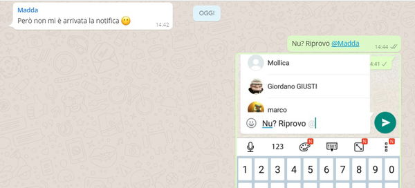 WhatsApp: da oggi puoi taggare i partecipanti nella chat di gruppo. Ecco come