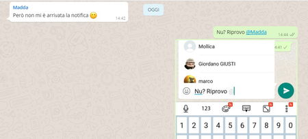 WhatsApp: da oggi puoi taggare i partecipanti nella chat di gruppo. Ecco come article-post