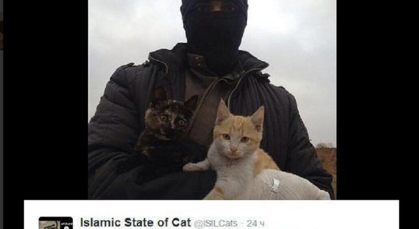 isis gatti bufala