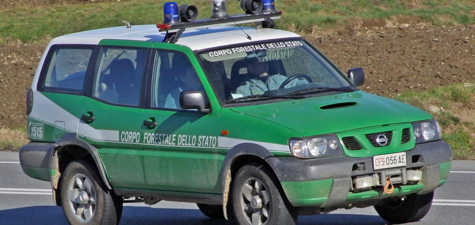 Guardia forestale pornoattore