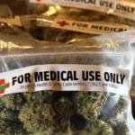 cannabis terapeutica farmacie