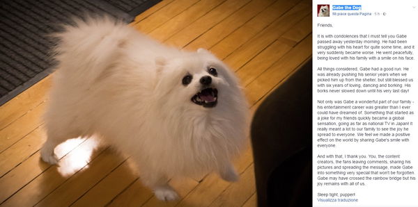 Gabe the Dog è morto. Addio al cane virale su Youtube