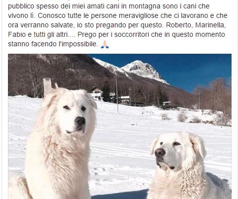 hotel rigopiano cani