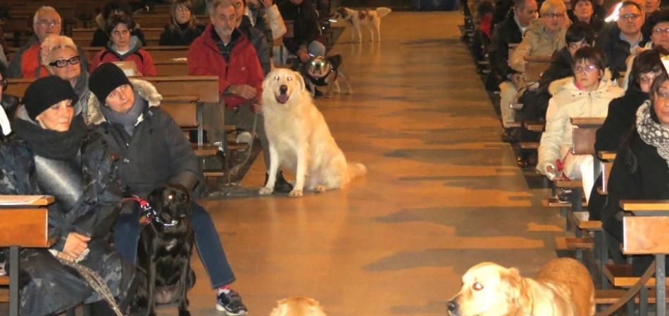 animali in chiesa