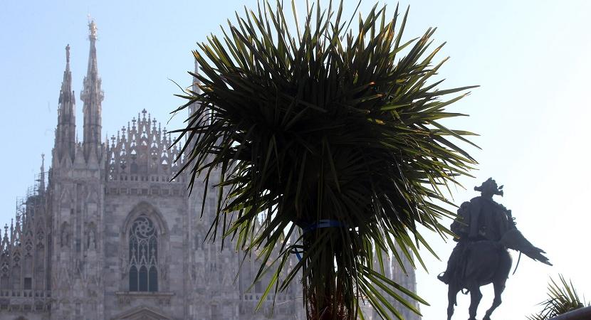 palme milano