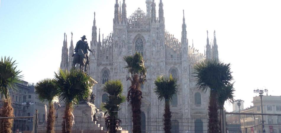 piazza duomo palme