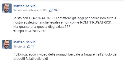 salvini rom