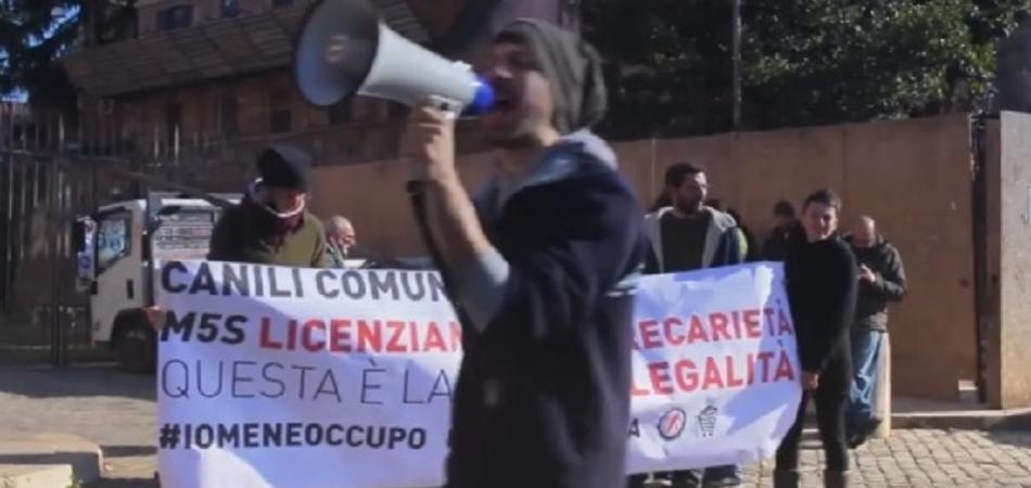 piccolo mondo cane