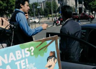 #CannabisDay