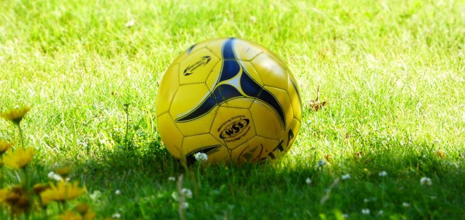arbitro donna picchiata