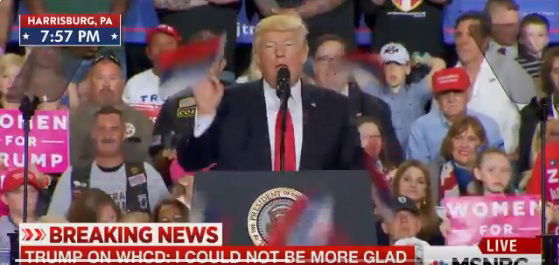 trump bandiere