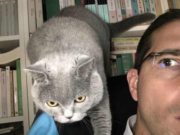 Che fine ha fatto Daniele Capezzone? Prima sempre in tv, ora accarezza il suo gatto Giuditta