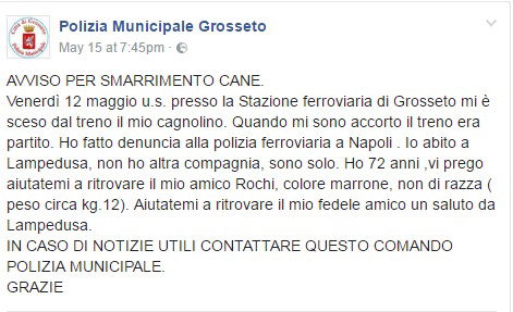 grosseto