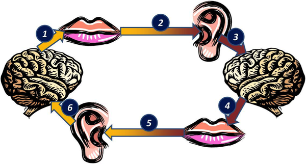 Le incomprensioni e i fraintendimenti nella comunicazione