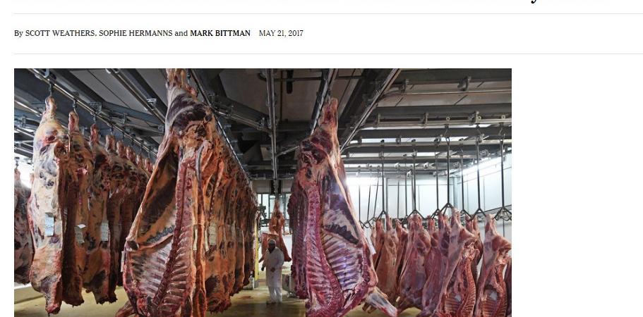 new york times allevamenti intensivi