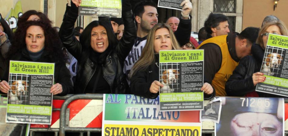 sperimentazione animale