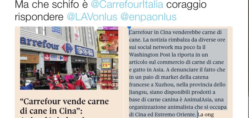 Carrefour carne cane