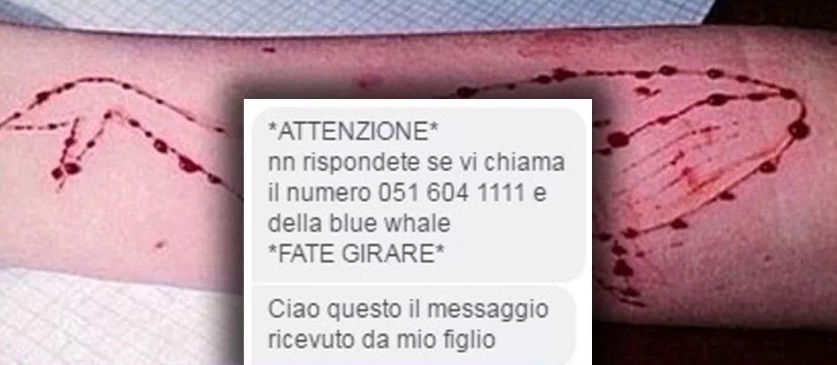 blue whale numero