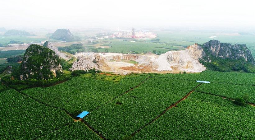 giornata mondiale dell'ambiente