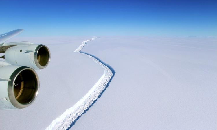 Larsen C