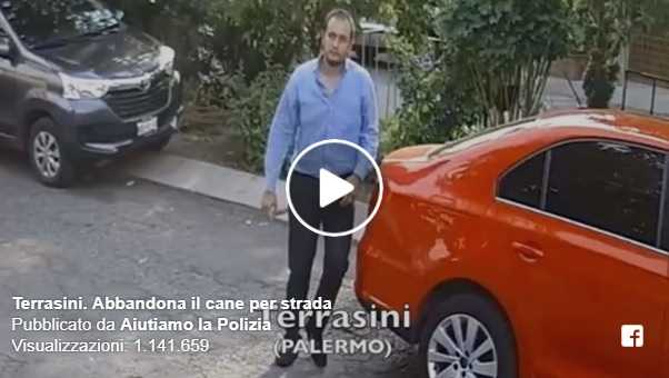 abbandona cane