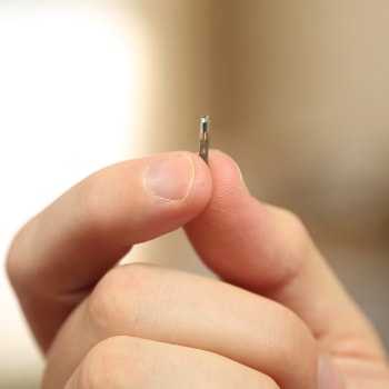 microchip sottopelle