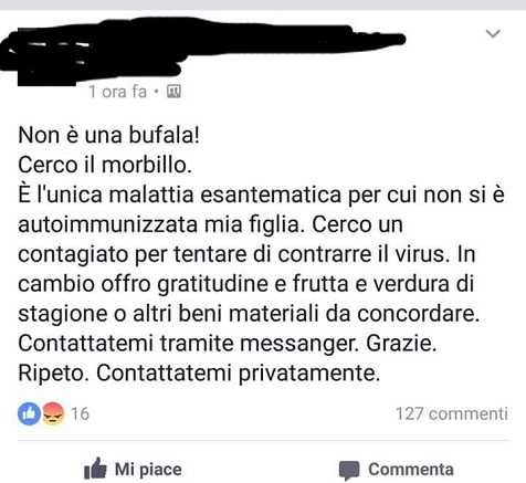 morbillo