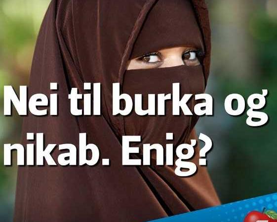 Elezioni Norvegia 2017