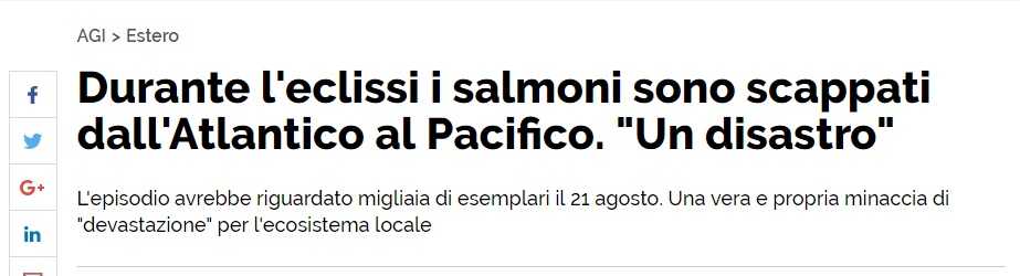 salmoni