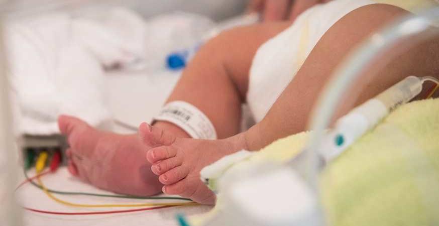 lotus birth