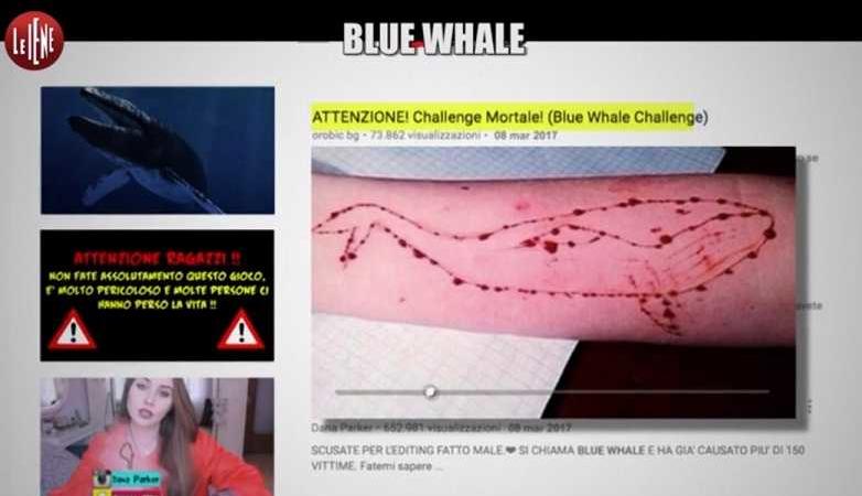 blue whale