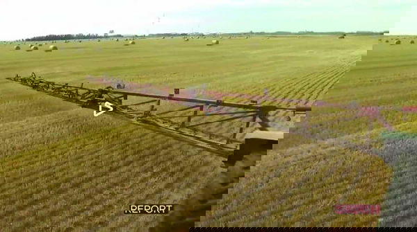 Dal Canada grano con glifosato e in Italia (dove è vietato) incentivi per non seminare