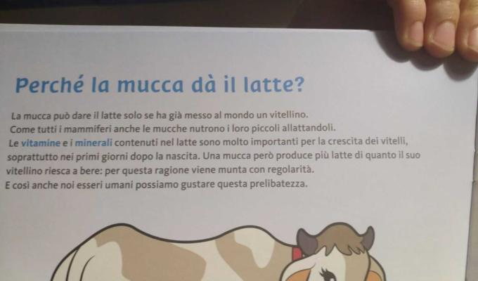 OPSUCOLO LATTE BOLZANO