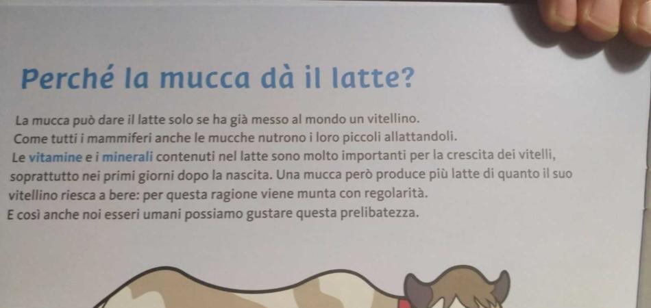 OPSUCOLO LATTE BOLZANO