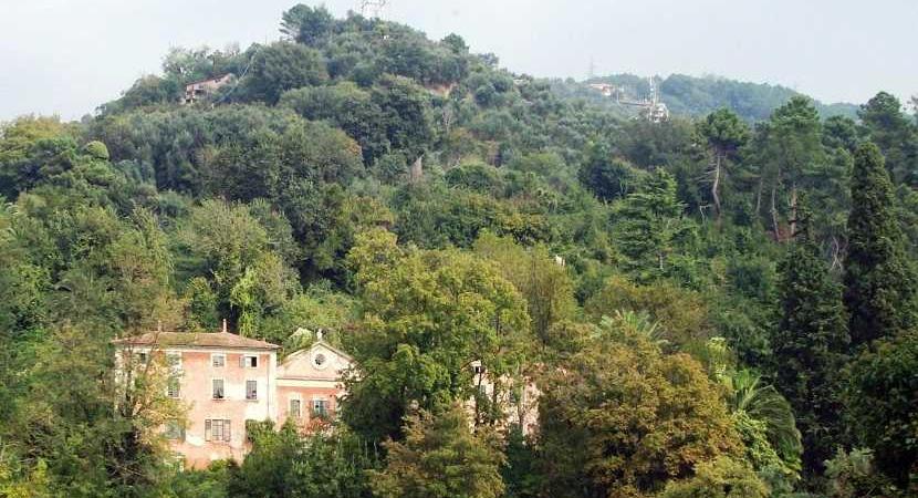 Villa Massoni