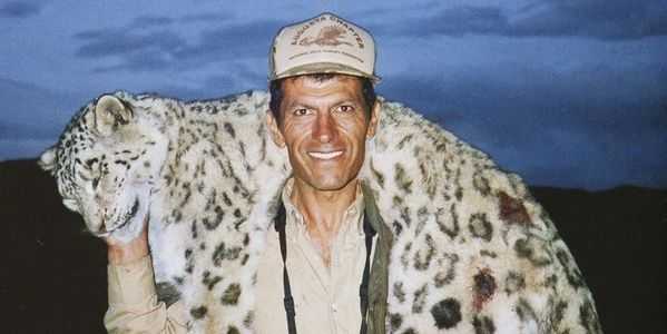 leopardo delle nevi