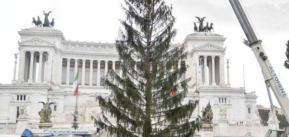 Albero Natale Roma