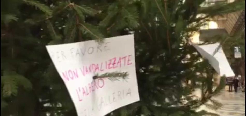 Rubato albero di Natale
