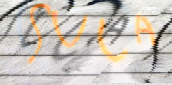 «La parola ‘suca’ non ha più quel senso lì», lo dice una tesi di laurea