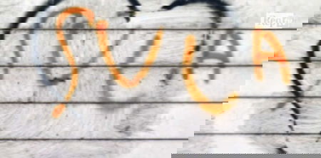 «La parola ‘suca’ non ha più quel senso lì», lo dice una tesi di laurea article-post