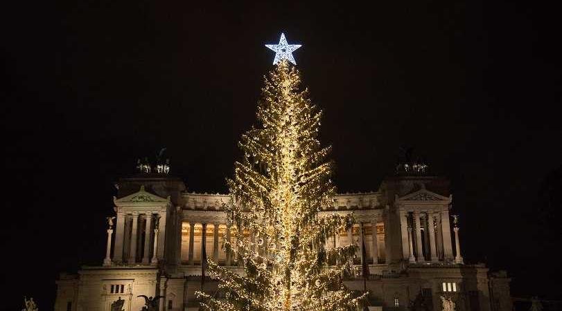 Roma Albero Di Natale.L Albero Di Natale Spelacchio A Roma E Costato 50mila Euro Il Triplo Del 2016
