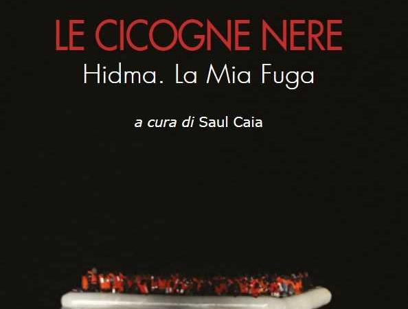 cicogne nere