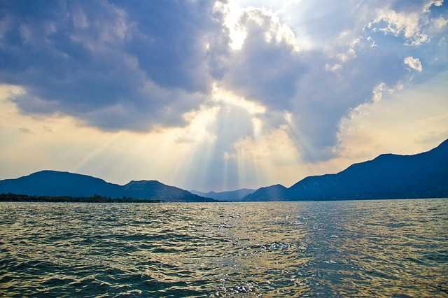 coregoni del lago d'Iseo